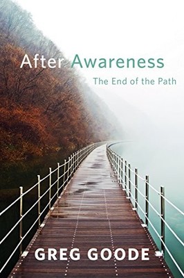 AFTER AWARENESS: THE END OF THE PATH By Greg Goode *Excellent Condition*