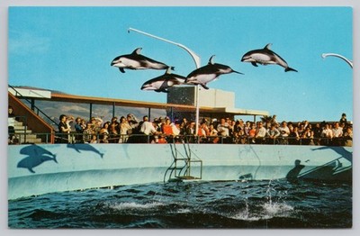 Postcard High Flying Dolphins Marineland of the Pacific Rancho Palos Verdes CA