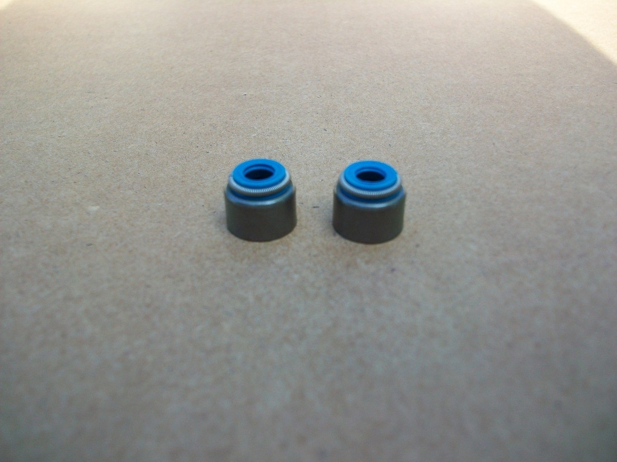 1988-2002 Kawasaki Bayou 220 KLF220 Intake Exhaust Valve Seals Kit