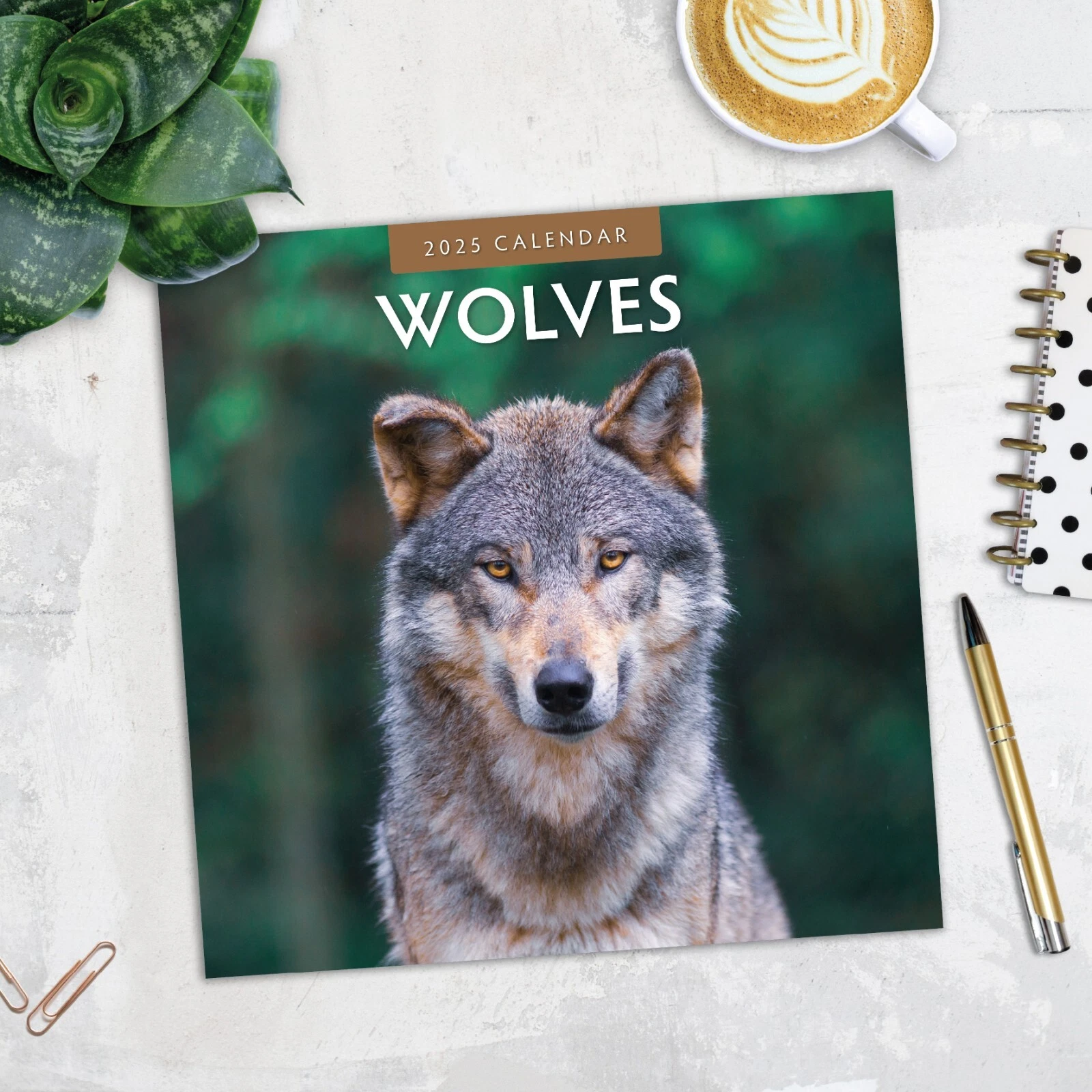 Wolves 2025 Square Wall Calendar
