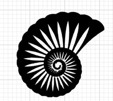 Seashell Decal