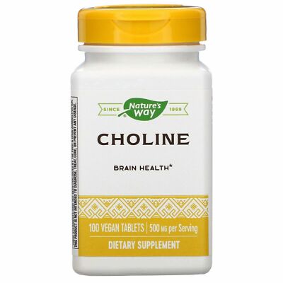 Natures Way Cholin 500 mg, 100 vegane Tabletten Gehirn Gesundheit Nature's Way