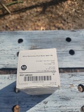 Allen Bradley 800T-QBH2G Momentary Push Button Green 12-130VDC/VAC NEW