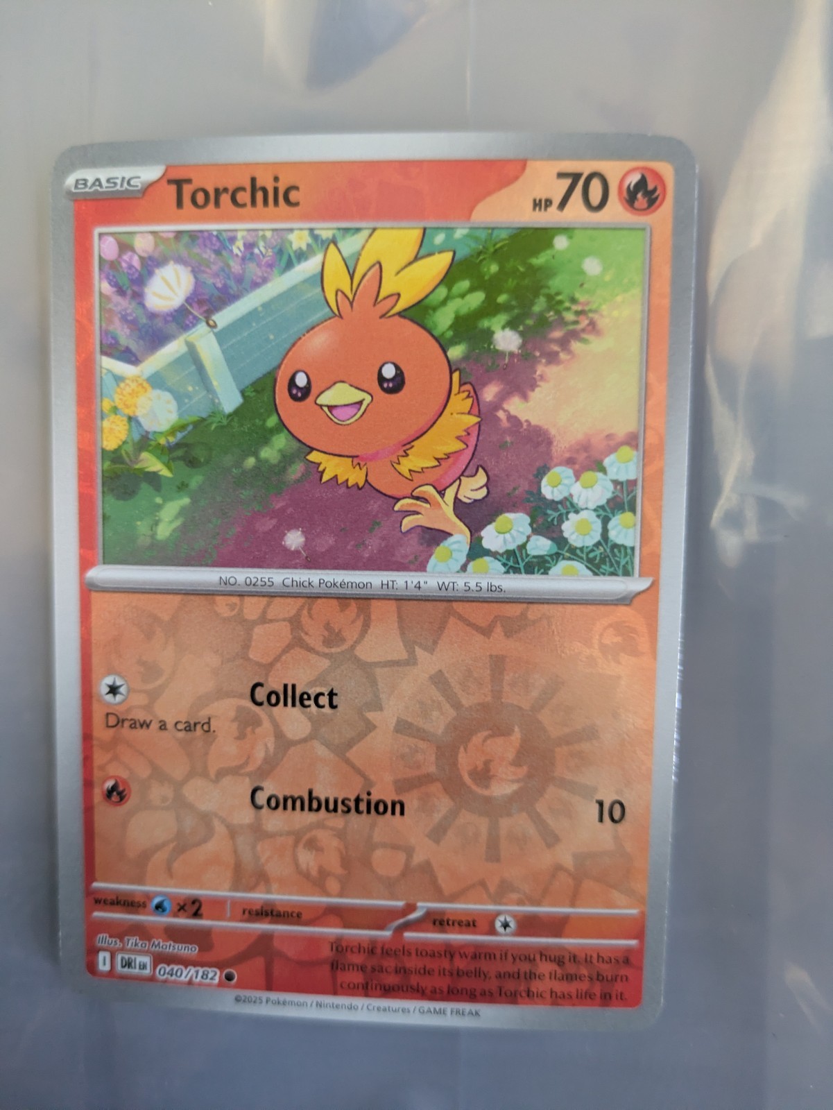 Pokemon Torchic - 040/182 - Common - Reverse Holo NM-Mint Destined Rivals