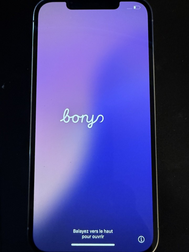 Apple iPhone 12 Pro Max 128 GB Silver (Unlocked) eBay