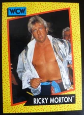 1991 Impel WCW Ricky Morton #97, WWE, WWF, WCW, AEW NM