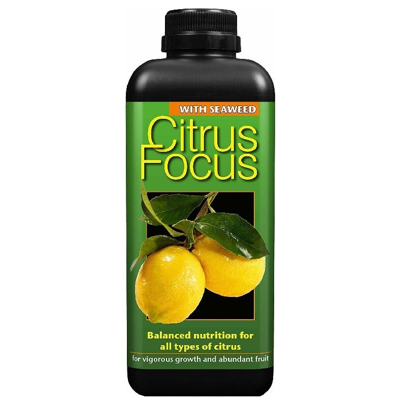 Growth Technology Citrus Focus 300ml Fruit Lemon Lime Plant Food Fertiliser