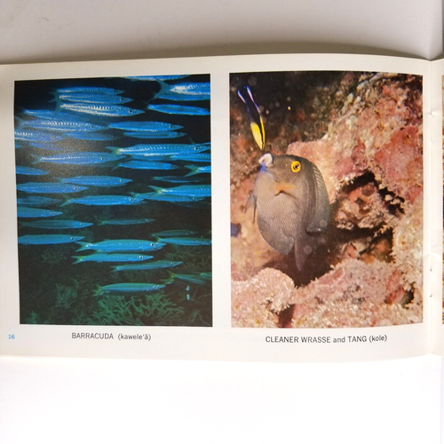 Colorful Hawaiian Fish Natural Underseas Photos Souvenir Book 1988 5.5 x8.5 Inch - Picture 5 of 8