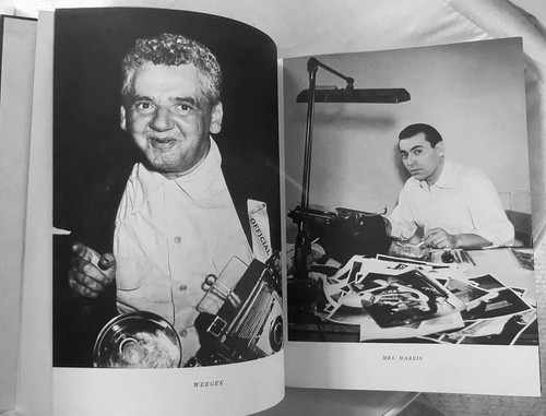 Rare book NAKED HOLLYWOOD by WEEGEE & Mel Harris, 1953 collectible 1st Edition - Bild 11 von 12