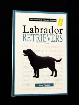 flat coated retriever gumtree