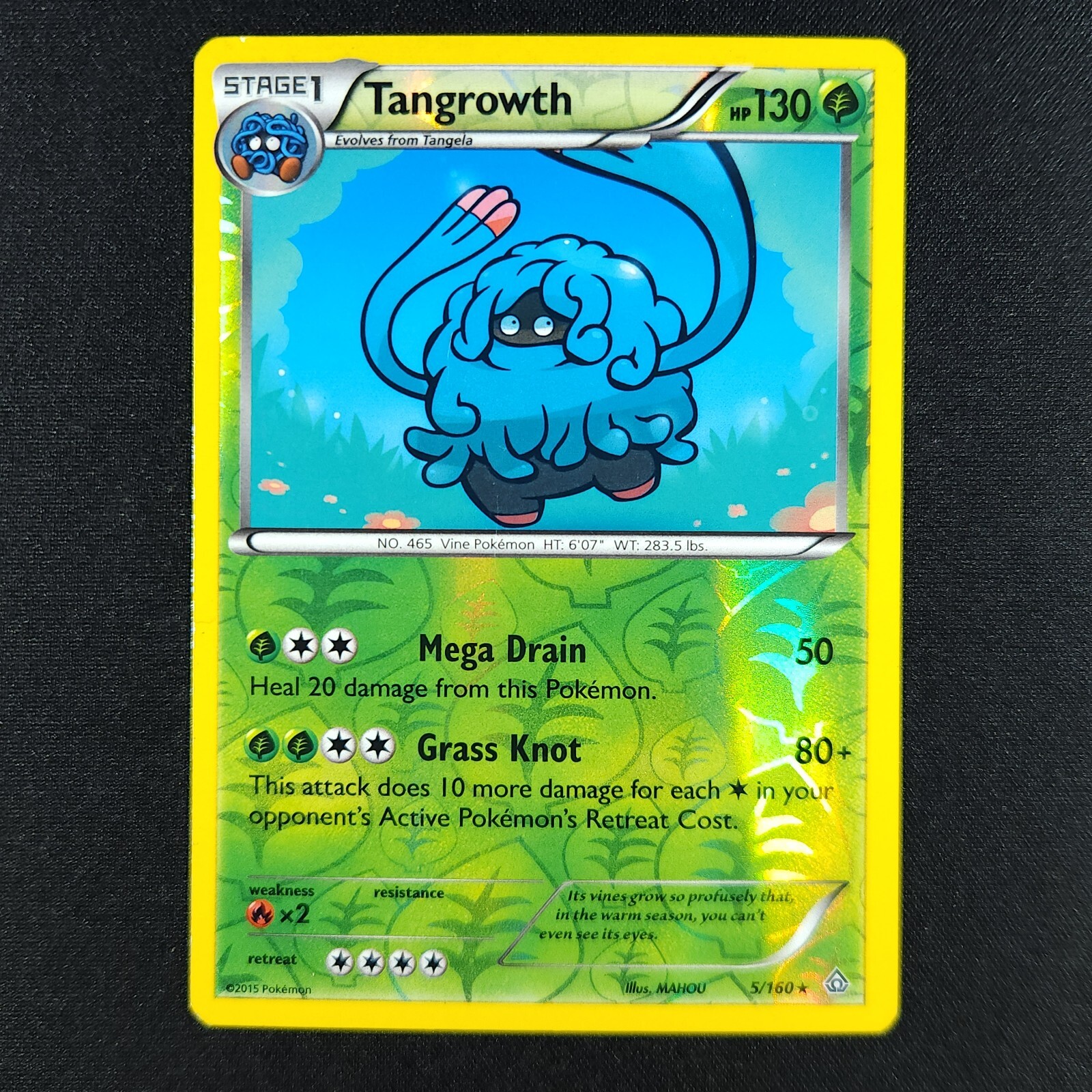 Tangrowth 5/160 Holo - Primal Clash - Pokemon Card