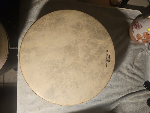 Remo Buffalo Drum 14” READ DESCRIPTION