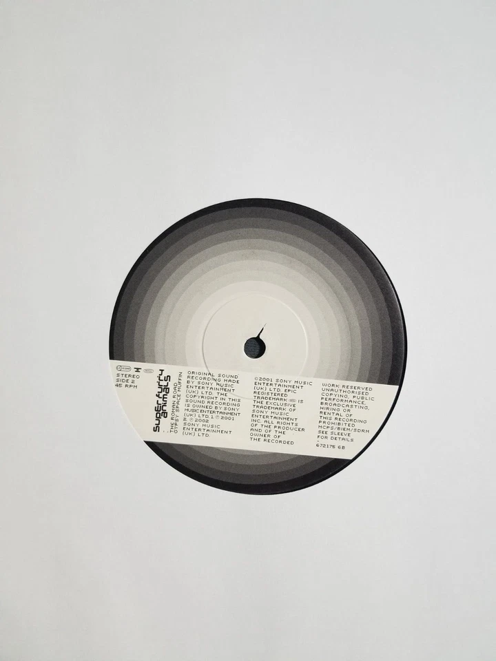 SUPER FURRY ANIMALS It’s Not The End Of World Original UK 12” Out of Print 2002 - Image 3 of 4