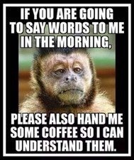 Funny monkey coffee refrigerator magnet 3 1/2 x 4 1/2" Made in the USA