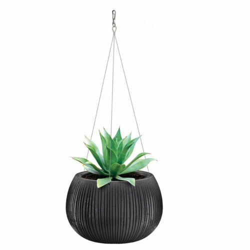 Ananas-Dnger HIGH-TECH NPK fr Ananas comosus Pflanzen in Beet und Kbel |  eBay.de