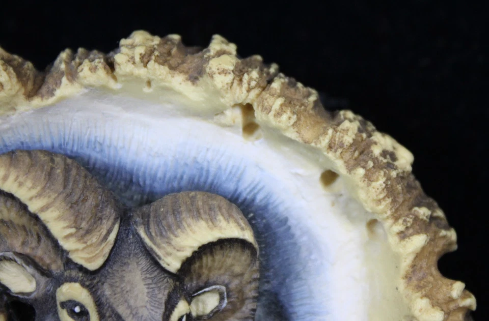 Hebilla de cinturón tallada a mano de colección Bighorn Sheep Ram firmada fecha 1985 cuerno de Canadá Foto 4 de 4