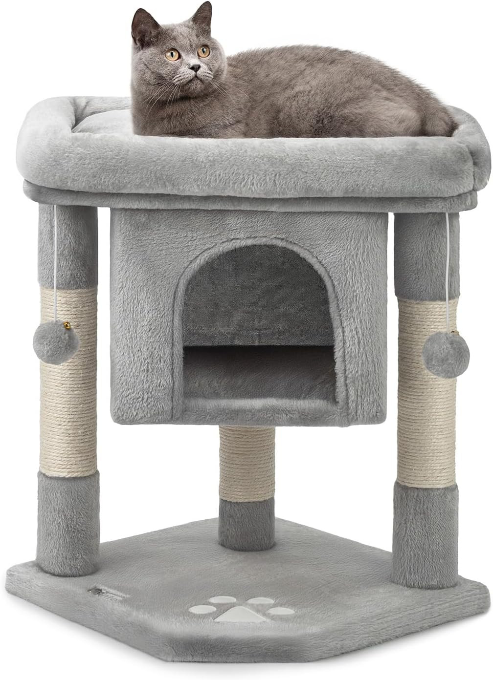 Regala un Sogno al tuo Micio | Tiragraffi 60cm Gioco e Coccole