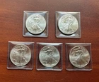 Lot of 5 coins - 2013  American Silver Eagle - GEM BU