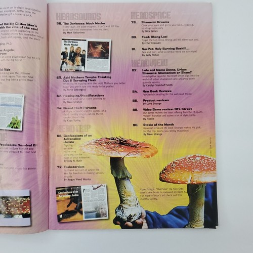 Heads Magazine Vol 4 Issue 3 Alex Grey Art Vintage Man Cave Mary Jane 420 - Picture 6 of 22