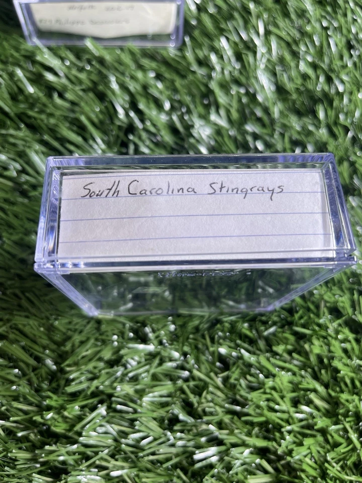 Disco de hockey South Carolina Stingrays ECHL disco oficial de juego Inglasco con estuche Foto 2 de 3