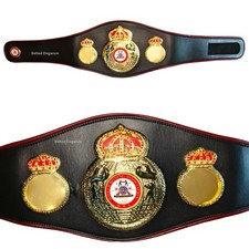WBA World Boxing Association Title Championsh...