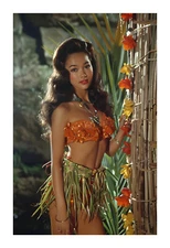 1960s Exotic Hula Dancer Tiki Art Print jd4