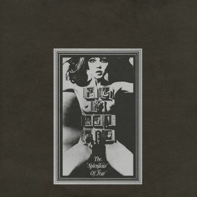 Felt Splendour of Fear (Deluxe Remastered Gatefold Sleeve Edition) LP Vinyl