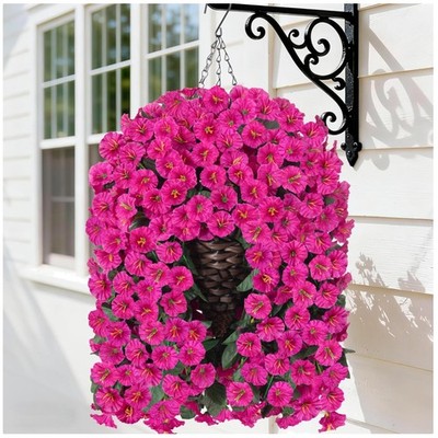 Realistic Fuchsia Morning Glory Hanging Basket