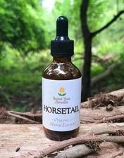 Horsetail Tincture Herbal Extract, Organic, FRESH
