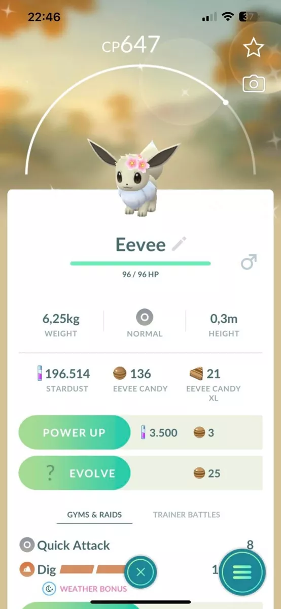 Did my Shiny Eevee evolve into the best shiny option out of the 3? #po