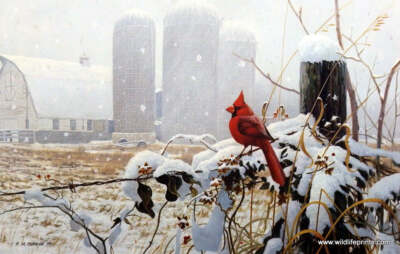 Michael Budden Flaming Glory - 20''x13''- Signed and Numbered Art Print