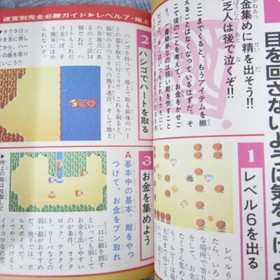 LEGEND OF ZELDA URA Guide Famicom Book Hisshouhou Series 35 1987 KB SeeCondition