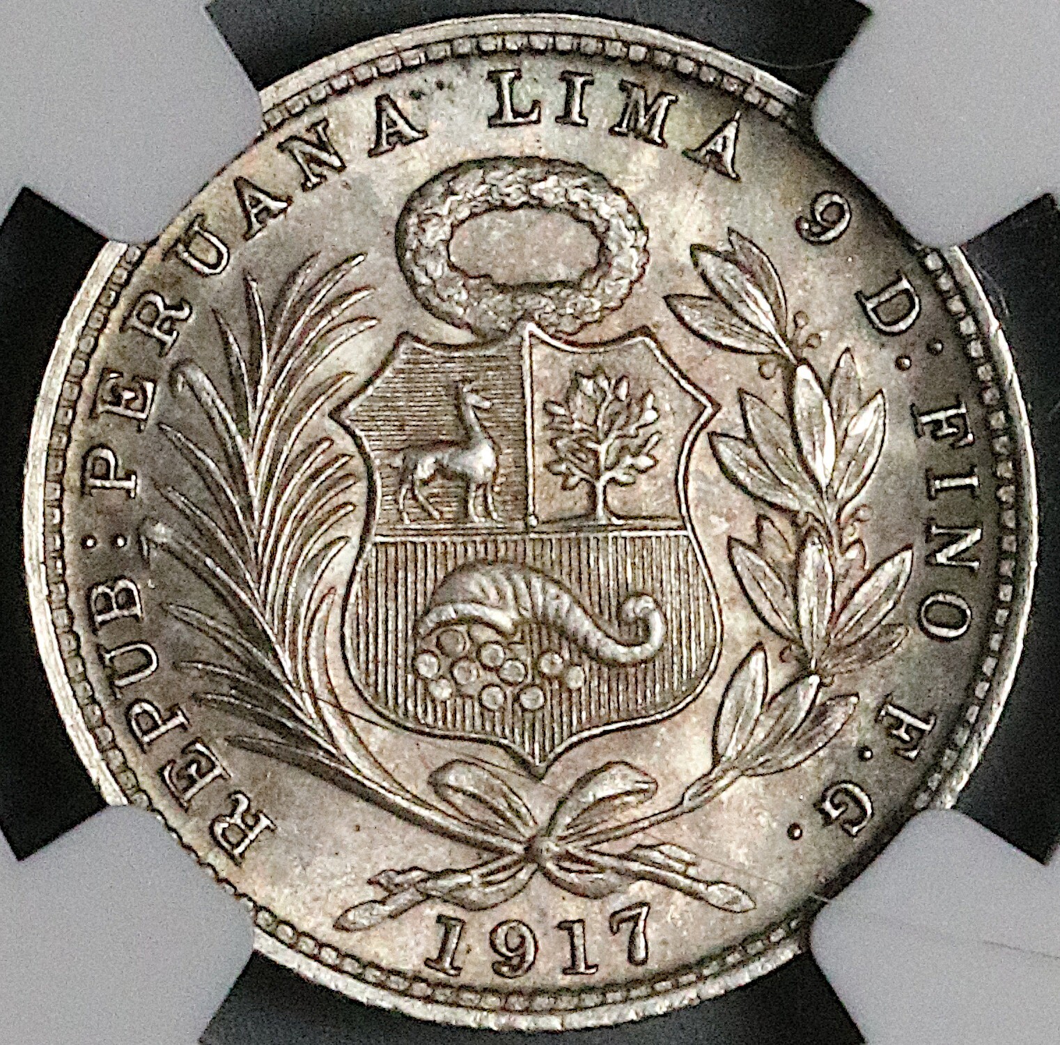 Picture 4 of 6