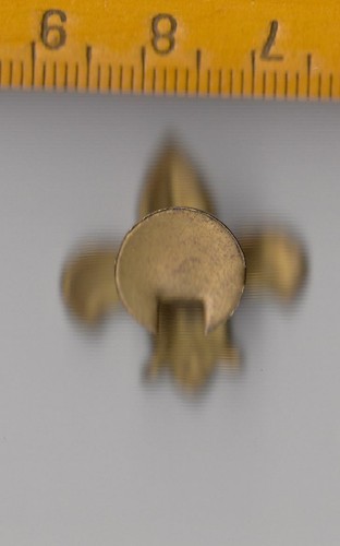 Vintage SCOUTING buttonhole lapel badge French Lily - Picture 2 of 2