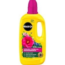 121180 Azelia, Camellia & Rhododendron Concentrated Plant Food, 800 Ml, Natural 9.06 per litre