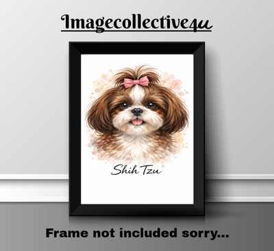 SHIH TZU HUND HAUSTIER A4 DRUCK BILD POSTER WANDBILD WOHNDEKO UNGERAHMT NEU GESCHENK