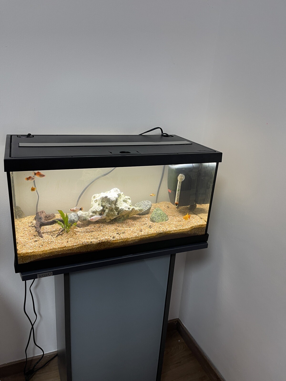 aquarium komplett mit unterschrank gebraucht eBay