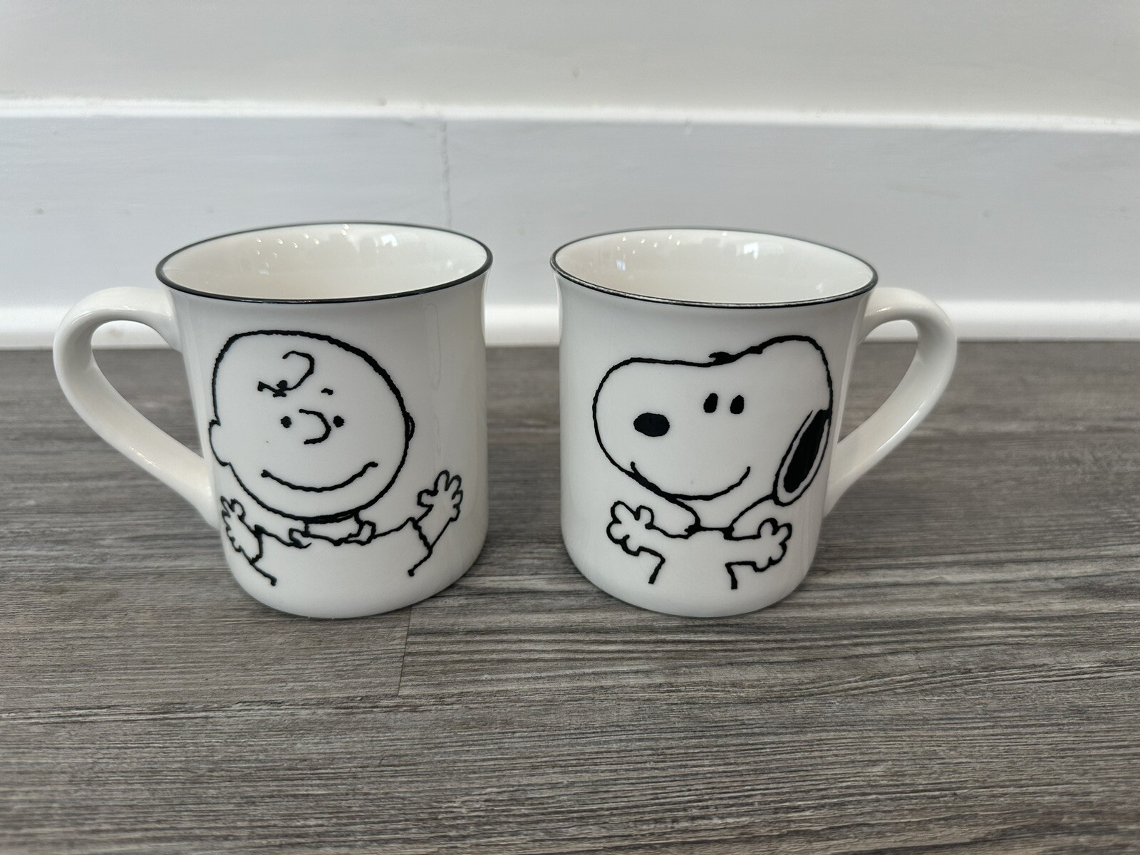 CORELLE COORDINATES SNOOPY & Charlie Brown Mug Cup 2P Set