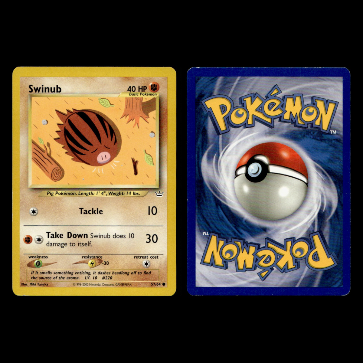 6x Piloswine Lot Swinub 81.0 XY BREAKthrough Pokemon Cards 6x Piloswine Lot Swinub 81.0 XY BREAKthrough Pokemon Cards