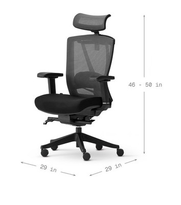 Autonomous ErgoChair Pro Gaming Chair with Lumbar Support Black