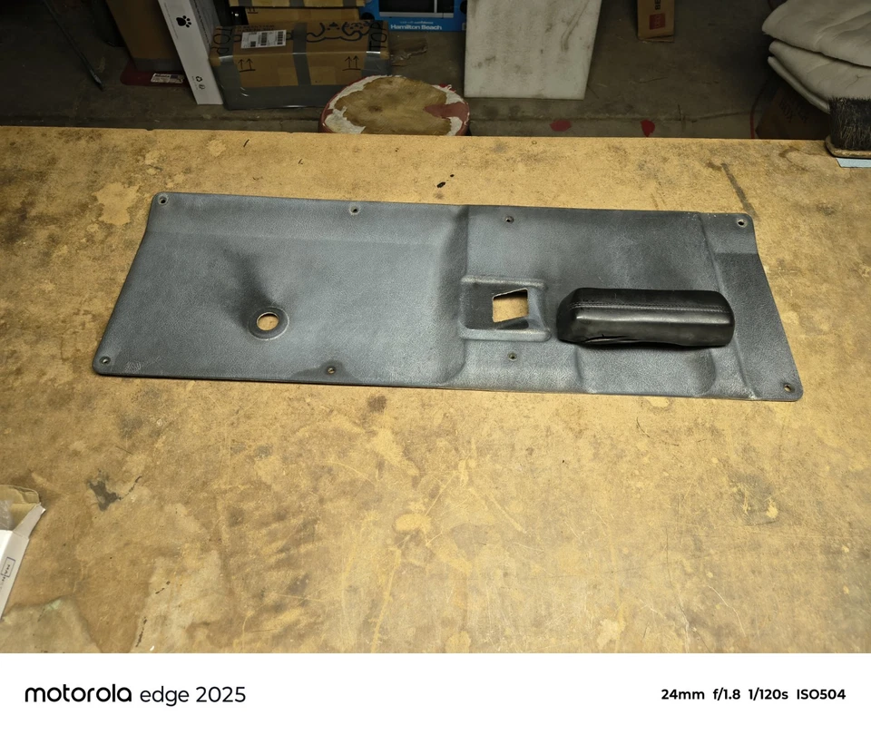 Dodge Truck 1969 1970 1971 panel de puerta izquierdo D100 D200 OEM Sweptline 69 70 71 Foto 4 de 4