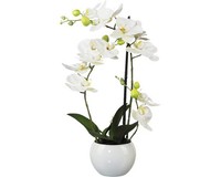 Kunstpflanze Phalaenopsis Schmal HöHe: 42 Cm Weiß