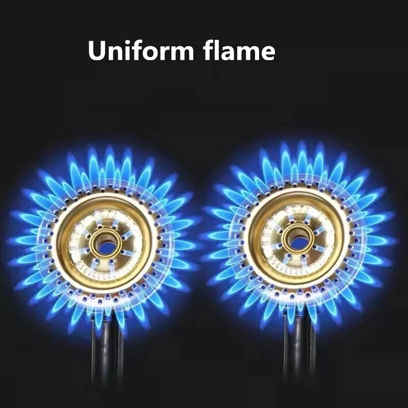 Commercial Deep Fryer GAS LPG Stainless Steel 20L AU - image 4 of 4