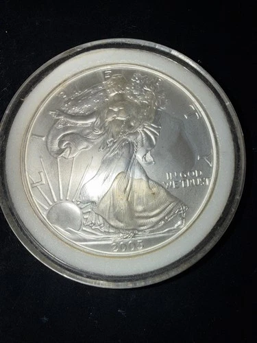 Walking Liberty Silver Dollar 1 Ounce Fine Silver 2005