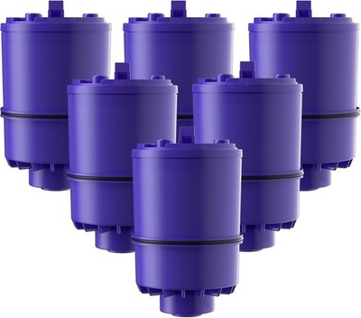 6-Pack Replacement Water Filters for RF-9999 PURPLUS Faucet System