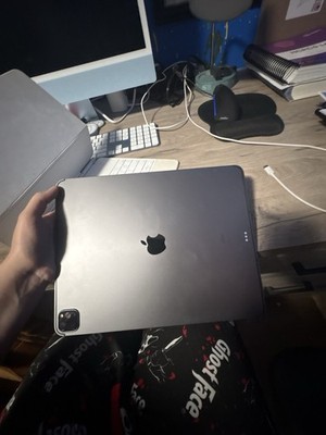 ipad pro 12.9 5th gen 256gb cellular