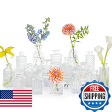 SUPMIND 16pcs Glass Bud Vase Set, Small Clear Flower Vases for Centerpieces in B
