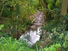 Photo A3 Lyde Brooke Spring Hill/SO8895  c2014