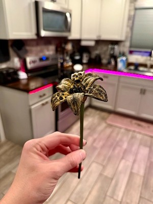 {Unpainted} The Forbidden Lilly - Halloween Spooky Art - Gothic Decor
