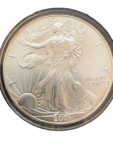 1987 Liberty Walking American Silver Eagle Dollar Coin | eBay